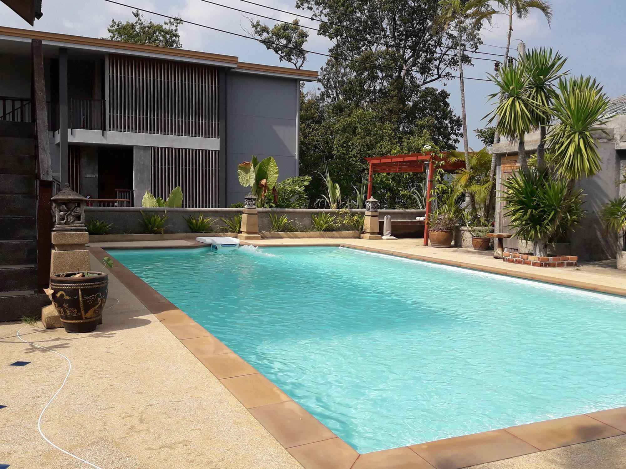 Paradise * Patong