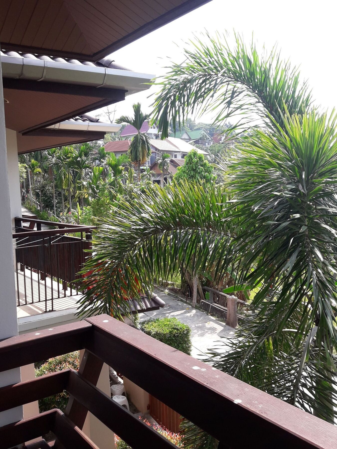 Paradise * Patong
